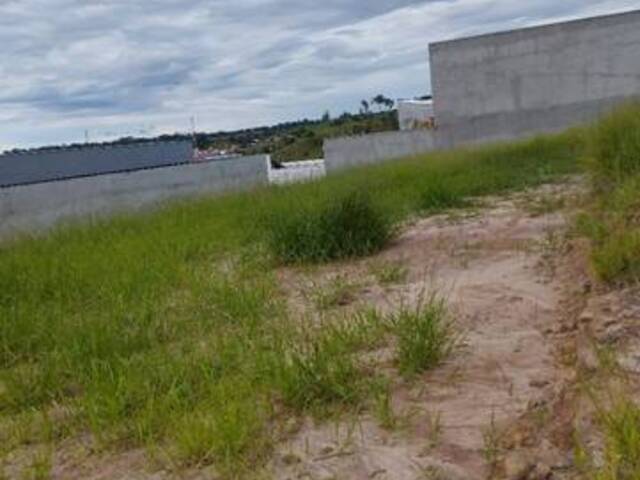 #TE4317 - Terreno para Venda em São José dos Campos - SP - 3