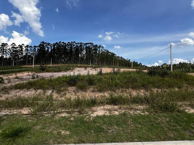 #TE5313 - Terreno para Venda em São José dos Campos - SP - 3